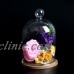 Glass Display Cloche Bell Flower Jar Dome Immortal Preservation with Wooden Base   132613488576